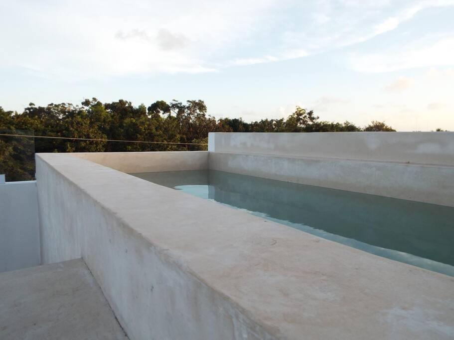 Apartment Relaxing Loft With Private Pool And Amazing Views In The Heart Of Tulum