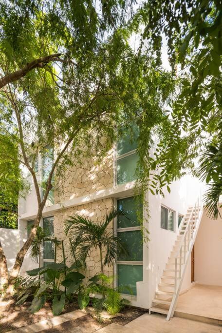 Relaxing Loft With Private Pool And Amazing Views In The Heart Of Apartment Tulum